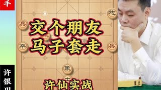 许银川实战，车马炮组合到位，许仙又展示精彩残棋困马术！