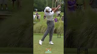 TIGER HITTING DOWN ON A 3 WOOD 🐅💯 #shorts