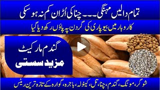 Wheat market more affordable | All pulses are expensive | Gram price unchanged | Bashir Sandhila