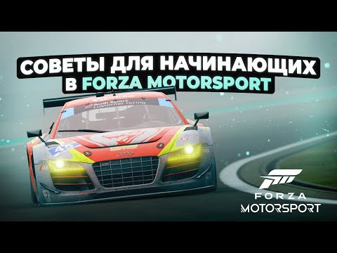 Советы для начинающих в Forza Motorsport