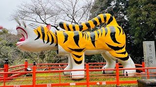 【信貴山】朝護孫子寺  ｜虎虎虎🐯#2024.3.6