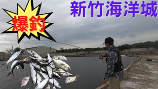 《海釣場》爆釣海洋城海釣場，0.6磯釣竿拉到你嫑嫑的 #普羅精工 #fishing #taiwan #shimano #新竹海洋城 #晨曦釣具 #share #share