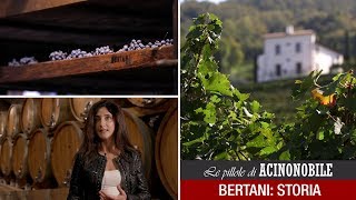 Bertani: La Storia