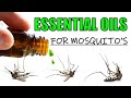 How To Make Mosquito Killer At Home (with Essential Oils)