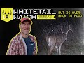 The Rut Is Over - Back To Food | Whitetail Watch w/ Bill Winke