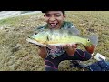 casting peacockbass ikan raja air kuning perak akhirnya dapat mancing rentas daerah