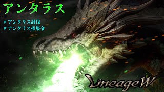 【天堂W】アンタラス（アンタラス映ります！ネタバレ注意！）【リネージュW】【Lineage W】리니지W