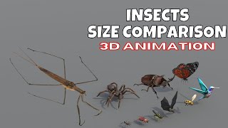 Insects Size Comparison Blender 3d Animation Real S Doovi