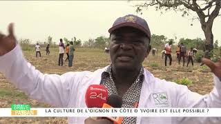 LES ETUDIANTS 2IAE EXPLORENT LA CULTURE DE L' OIGNON VIOLET EN COTE D'IVOIRE