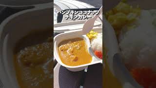 【絶品カレー】本格インドカレーがテイクアウトできるキッチンカー【市役所でランチするしない？8】 #shorts #千曲市 #長野 #グルメ