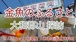 【金魚のふるさと大和郡山探訪】【金魚カフェ柳楽屋と金魚資料館】