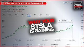 Why $TSLA is UP and your investment is paying off - condensed from Friday livestream