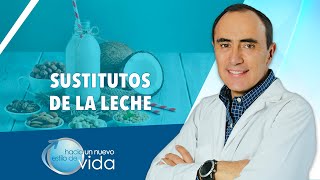 SUSTITUTOS DE LA LECHE - HACIA UN NUEVO ESTILO DE VIDA