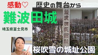 【難波田城】埼玉県富士見市/江戸と河越のつなぎの城