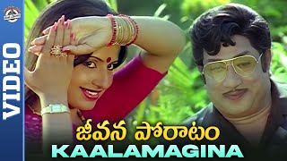 Kaalamagina Video Song | Jeevana Poratam Movie Songs | Sivaji Ganesan | Mango Paatha Paatalu