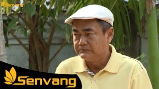 Hài kịch Việt Nam - Hài kịch mới nhất | Sen Vàng 237