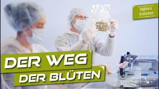 So ein Aufwand für medizinisches Cannabis? - Ein Rundgang bei IMC