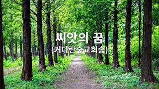 씨앗의 꿈(커다란숲교회송)