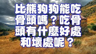 比熊狗狗能吃骨頭嗎？吃骨頭有什麼好處和壞處呢？