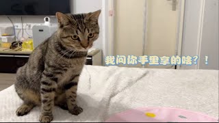 咱也不懂，第一次捡到猫胡须，能许愿么？！