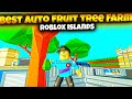 How To Make The Best Auto Fruit Tree crate Farm In Roblox Islands