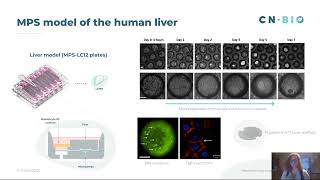 Addressing Both Sides of the Coin - Microphysiological Systems to Better Predict Safety and Efficacy