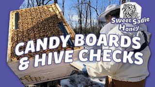 Winter Hive Check \u0026 Candy Board Installation