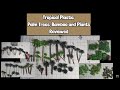 Tropical Plastic Palm Trees, Bamboo and Plants Reviewed