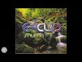 E-Clip – Chandra