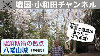 【絶景】駿府防衛の拠点 八幡山城【桜と富士山】