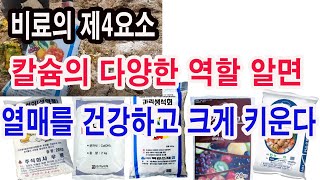 석회비료, 칼슘비료. 비료의 제4요소 칼슘의 다양한 역할 알면 열매를 건강하고 우량하게 키울 수 있다.(석회비료,  칼슘비료 효과, 석회비료역할, 칼슘비료 역할, 토양개량)