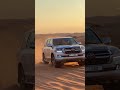 dune bashing desert safari dubai uae🇦🇪 for booking 971563712440 dubai offroad desert safari