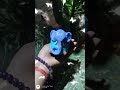 broken cup diy ✨❣️ shorts yt viral craftymunde craft diy claycraft kabadsejugad ytshorts