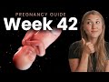 42 Weeks Pregnant | Week By Week Pregnancy