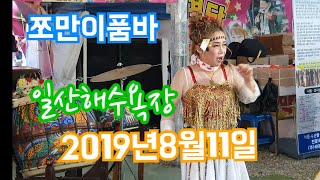 쪼만이품바/2019년8월11일일산해수욕장