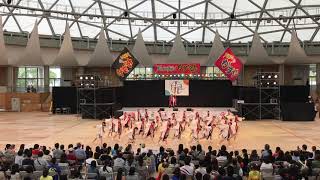 粕屋東中 中学連 輝龍天翔(ジュニアフェスタ大賞演舞) YOSAKOIかすや祭り 2019.10.12(土)