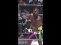 朝倉未来があのメイウェザーに一撃 shorts rizin 朝倉未来