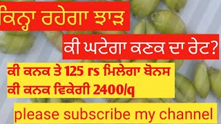 ਕੀ ਕਨਕ ਤੇ ਇਸ ਵਾਰ ਮਿਲੇਗਾ 125 ਰੁਪਏ ਬੋਨਸ? ਕੀ  ਰੇਟ ਘਟੇਗਾ ਕਿਨ੍ਹਾ ਮਿਲੇਗਾ ਰੇਟ? please subscribe my channel