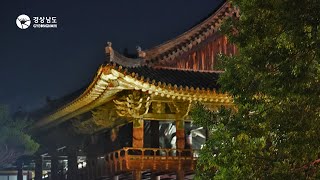 경상남도 밀양의 가을야행 (Autumn Night Travel in Miryang, Gyeongsangnam-do)