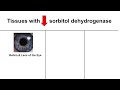 polyol pathway u0026 diabetes the role of polyol pathway in diabetes pathogenesis