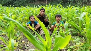 Go harvest melons and go to the market to sell agricultural products / orphansboysdailylife