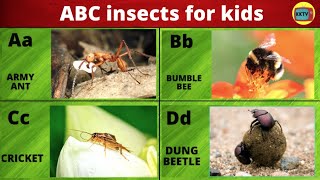 ABC insects for kids