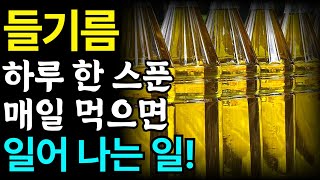 들기름 하루 한 스푼씩 매일 먹으면 일어나는 일!🍯💁‍♂️  들기름 효능, 들기름 건강하게 섭취하는 방법, 보관 및 주의 사항!