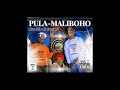 Makanyane Stuff_ Lerato La Fake (Official Audio)