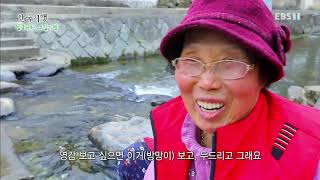 한국기행 - Korea travel_남쪽나라 오감기행 4부 들리나 봄_#001