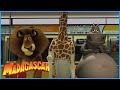 DreamWorks Madagascar | Escape From New York | Madagascar Movie Clip