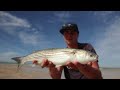 fishing for golden grey mullet with kevin griffiths