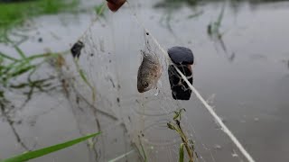 টা কা না থাকলে এই দুনিয়া চেনা যায়''আর টা কা থাকলে এই দুনিয়া কেনা যায়!