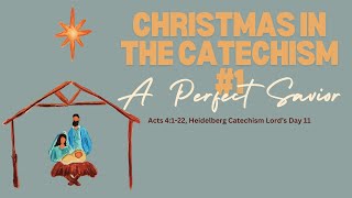 Christmas in Catechism #1: A Perfect Savior