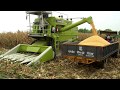 DASMESH Maize Cutter